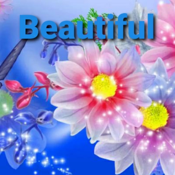 Offer - Picture 1 of 1